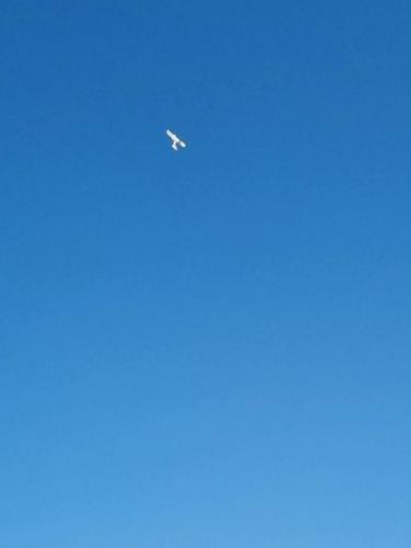 amcb 2025 0149