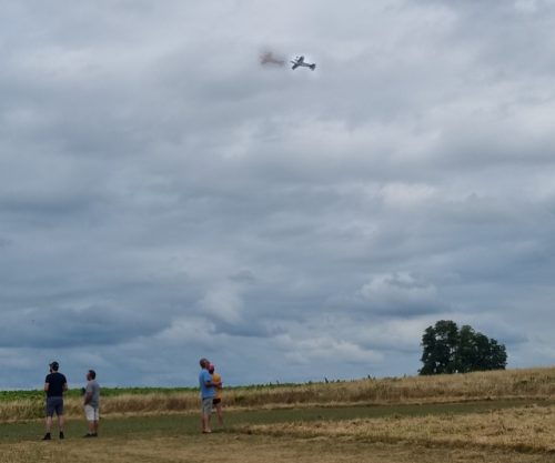 amcb 2025 0689