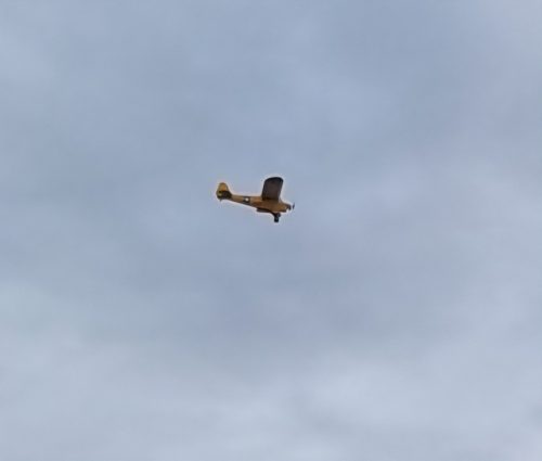 amcb 2025 0705