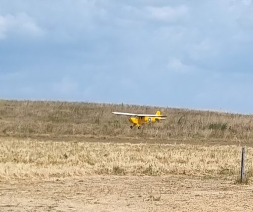 amcb 2025 0751
