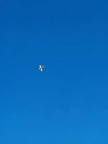 amcb 2026 0556