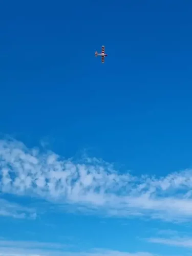 amcb 2026 0575