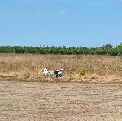 amcb 2026 0583